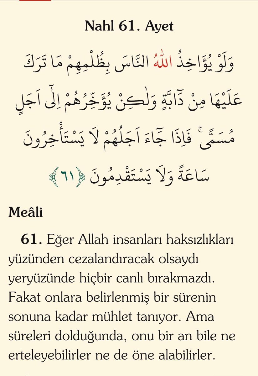 mtayyipduran's tweet photo. https://t.co/xDGZh3wDiP