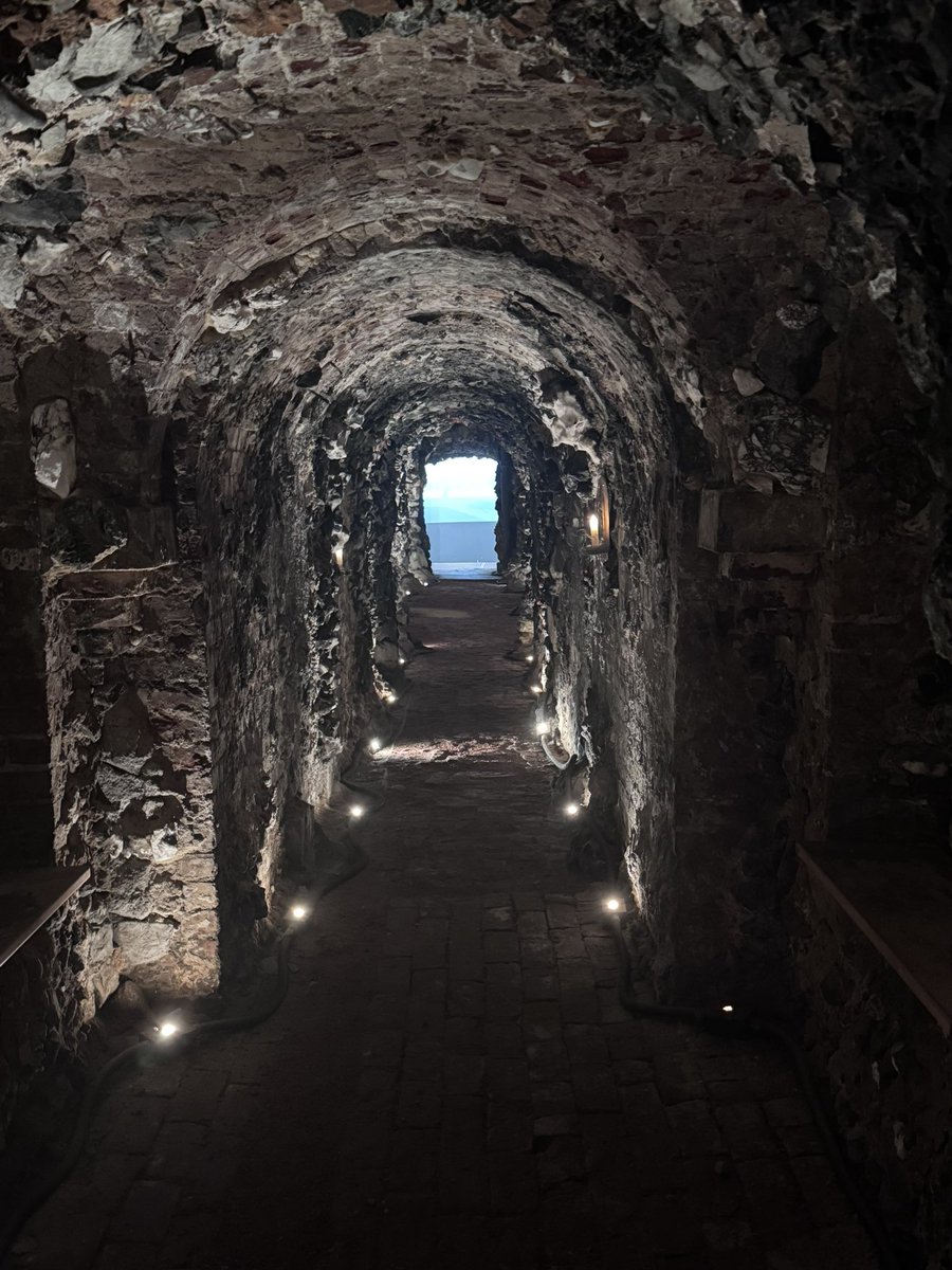 TwickMuseum's tweet photo. There is still time to book for this evening’s online talk which will see two trustees from Pope’s Grotto talking about the recent conservation -and reveal a special surprise! Book here-

https://t.co/3cDoDpr8Iz https://t.co/LKmFEvd50b