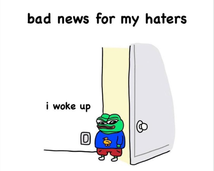 nullix tweet media