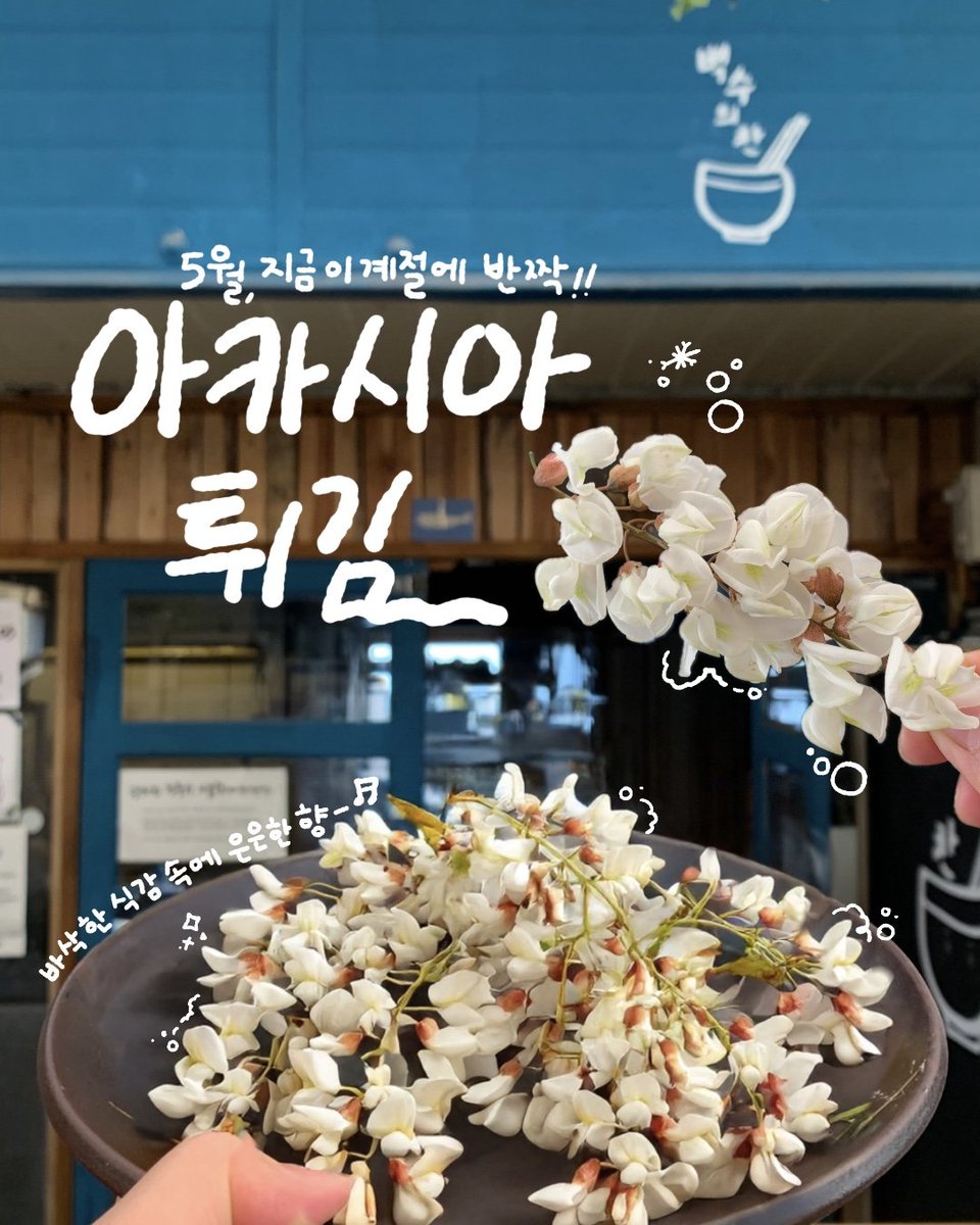 bunaround's tweet photo. 아카시아(아까시) 꽃 튀김 금일 저녁부터 개시합니다 🤍

요 아카시아 꽃 튀김 판매를 한 지가 대강 두 해가 지났나요? 이렇게 폭��적인 인기 몰이를 할 거라고 생각을 정말 몬했는데에..
기다려주신 분들 문의에 꼭 우리 동네는 폈다 거기는 아직이냐 (ㅋㅋ) 하는 귀여운 연락도 많이 받았습니다 https://t.co/xSWQlQ0v3J