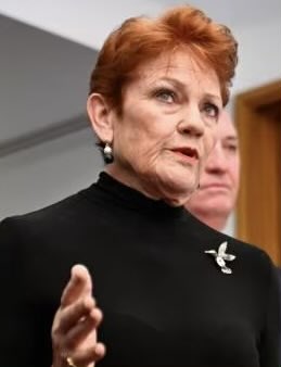 news_australian's tweet photo. BREAKING:  Senator Hanson said she was “disgusted” the government was allowing any of the ISIS brides to return to Australia, despite the security risk.  
What do you say to Pauline?
#auspol #isisbride #paulinehanson https://t.co/n9RzAfbS9x