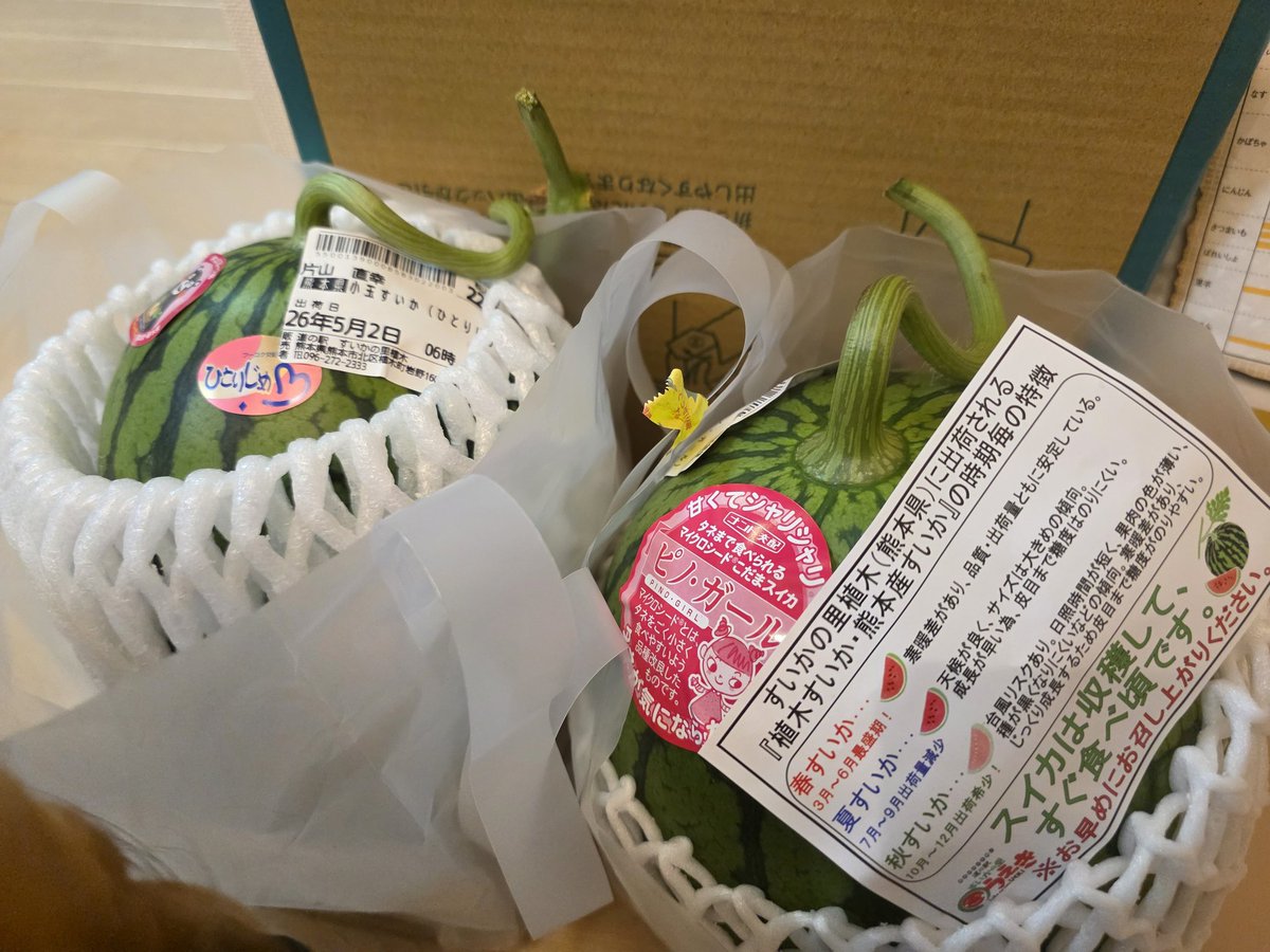 mytrSS's tweet photo. 今年のGW
楽しみにしてた植木のスイカを買いに行ってきたー\( ´ω` )/🍉
今年からお泊まり旅行できないし近所も大抵行き尽くしたからお出かけするとこ探すのムズい（¯꒳¯٥)
久しぶりに鹿屋のバラ園🌹
帰りにマンガ倉庫寄って１回で取れたやつー♪ https://t.co/b3UD3TesHz