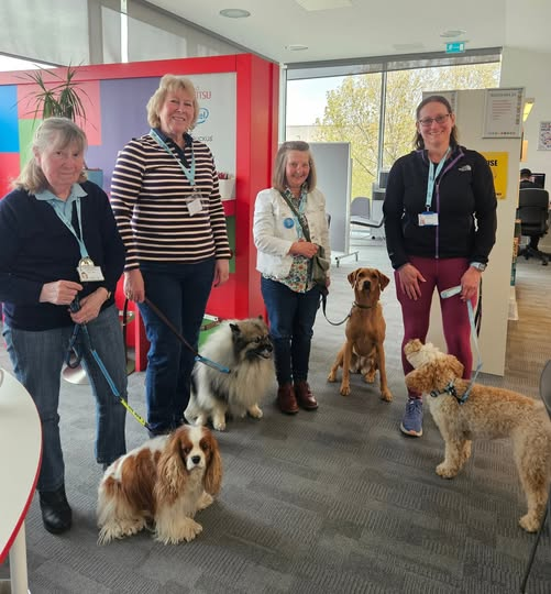 TherapetC's tweet photo. In Stirlingshire: 𝐓𝐡𝐞𝐫𝐚𝐩𝐞𝐭® organised a 𝐏𝐀𝐖𝐒 𝐀𝐠𝐚𝐢𝐧𝐬𝐭 𝐒𝐭𝐫𝐞𝐬𝐬® event with 𝐒𝐭𝐢𝐫𝐥𝐢𝐧𝐠 𝐂𝐨𝐥𝐥𝐞𝐠𝐞 with 𝐓𝐡𝐞𝐫𝐚𝐩𝐞𝐭𝐬 
𝐑𝐚𝐩𝐡𝐢𝐞, 𝐑𝐮𝐛𝐲, 𝐇𝐨𝐧𝐞𝐲 &amp; 𝐁𝐞𝐚𝐫 attending... 🐾🎓🐾
@FVCollege @TherapetC @CanineConcern  @EducationScot https://t.co/Yibs0M8NDx