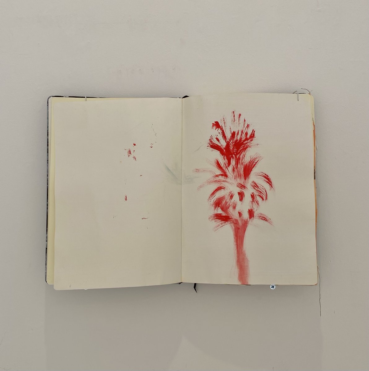 jxxp520's tweet photo. マルタ・アダリド Marta Adalid 個展
「肉の花（Flor de Carne）」
KATSUYA SUSUKI GALLERY (目黒区、東京) https://t.co/PanbRQtIkd