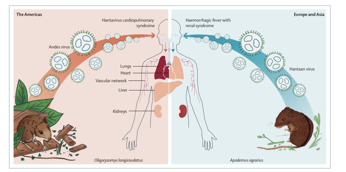 Microbiología Clínica La Paz 🏥 tweet media