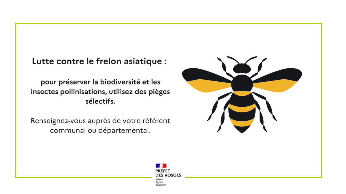Préfet des Vosges 🇫🇷🇪🇺 tweet media
