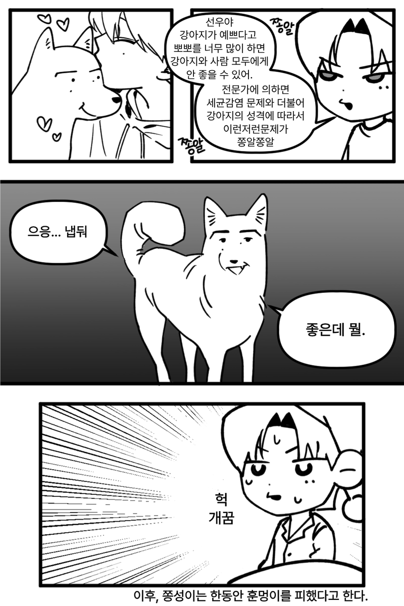 빈집털이범 tweet media