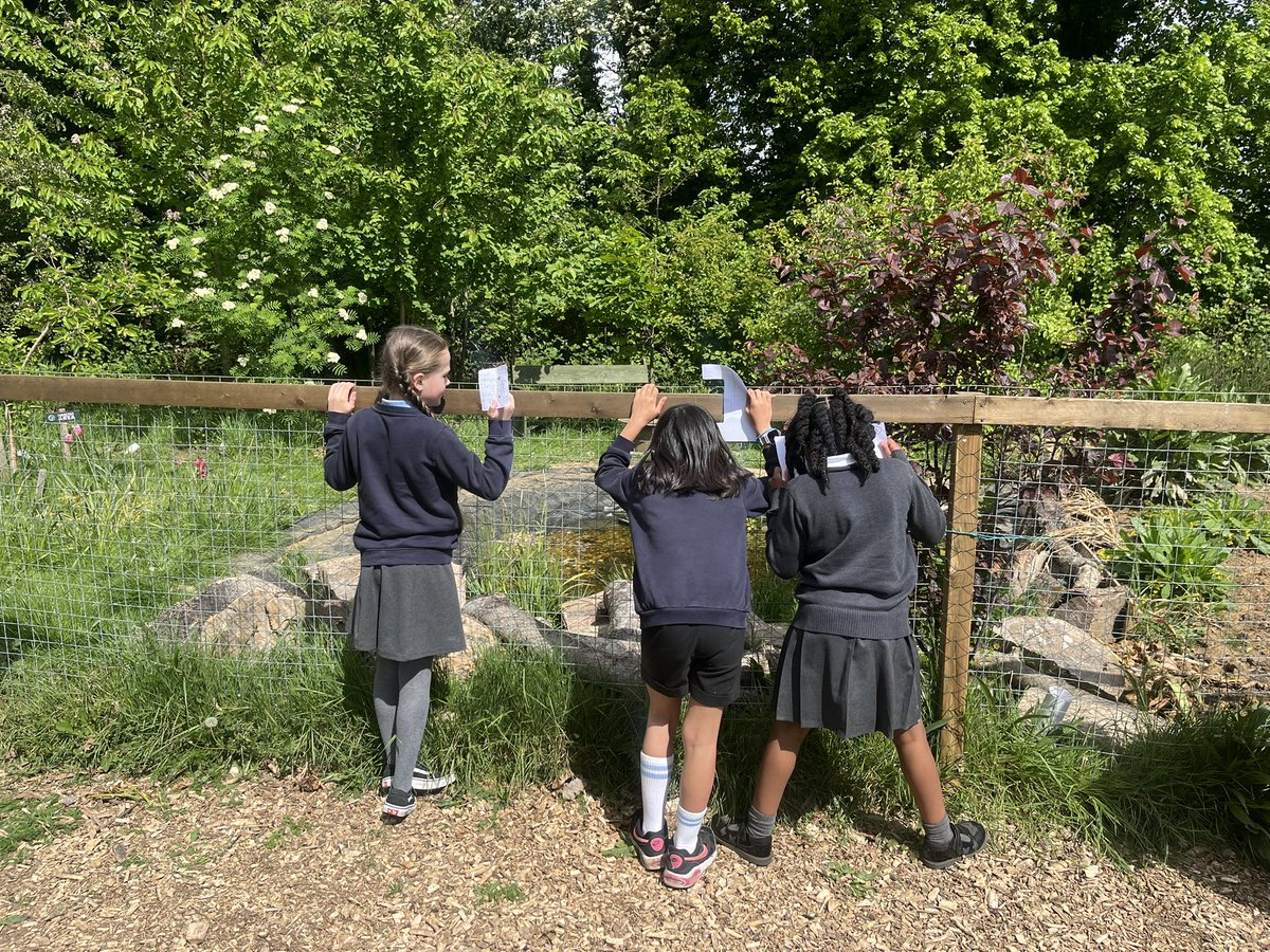 BWPScience1's tweet photo. Year 4 children have been using question generators and planning their own enquiries linked to our pond and school grounds in preparation for the Great Science Share showcase event at Discovery Park, Sandwich next month @GreatSciShare @pstt_whyhow @BWPrimary https://t.co/0nbrSeSmBI