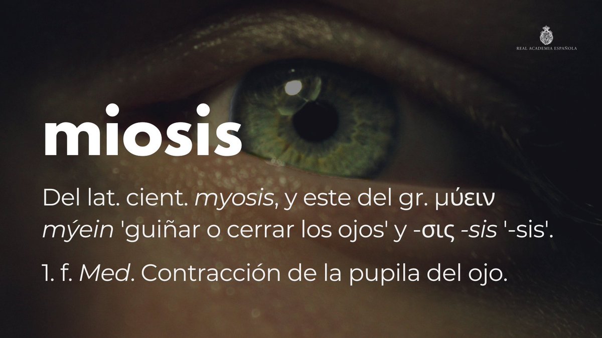 #PalabraDelDía | miosis

En Enclave de Ciencia pueden encontrar más información de esta voz, así como del adjetivo relacionado «miótico»: ow.ly/8B1250YRJGl y ow.ly/hhPc50YUUp9.