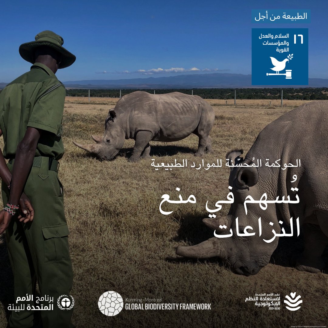 UNEP_Arabic's tweet photo. تؤدي المنافسة على الموارد الطبيعية إلى نشوب النزاعات، ويزيد تغيّر المناخ وندرتها من التوترات.
لكن الحوكمة العادلة للموارد أداة قوية للسلام.
تعرّفوا كيف يدعم الإطار العالمي للتنوع البيولوجي #الأهداف_العالمية للسلام والعدل والمؤسسات القوية:
https://t.co/WkBqraLxmW
@‌UNBiodiversity https://t.co/M9plIcl0OL