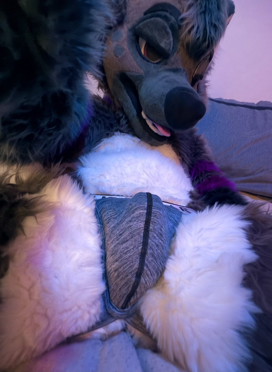 TheNotSoFurgin's tweet photo. Come smell me https://t.co/trKzwterC0