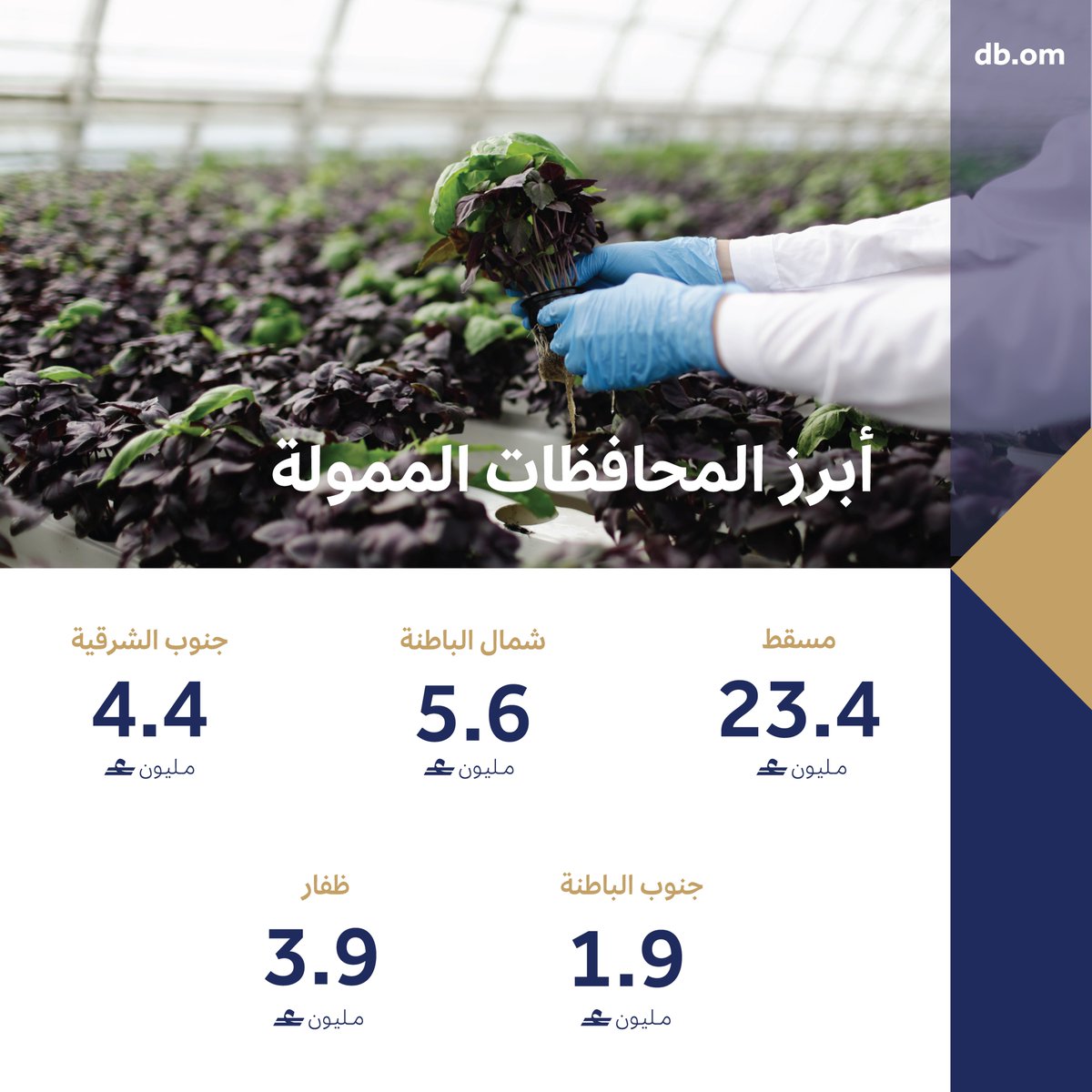 بنك التنمية tweet media