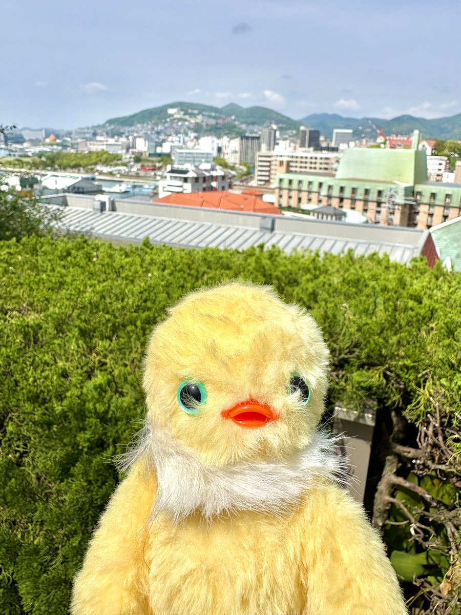 hitobrand's tweet photo. 熊本、長崎にも行ってきたよ〜！

#ピヨヒト
#楽しい旅行
#熊本
#長崎 https://t.co/q6LCmDhDBM