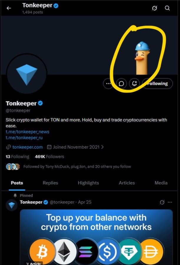 B1 🦖 tweet media