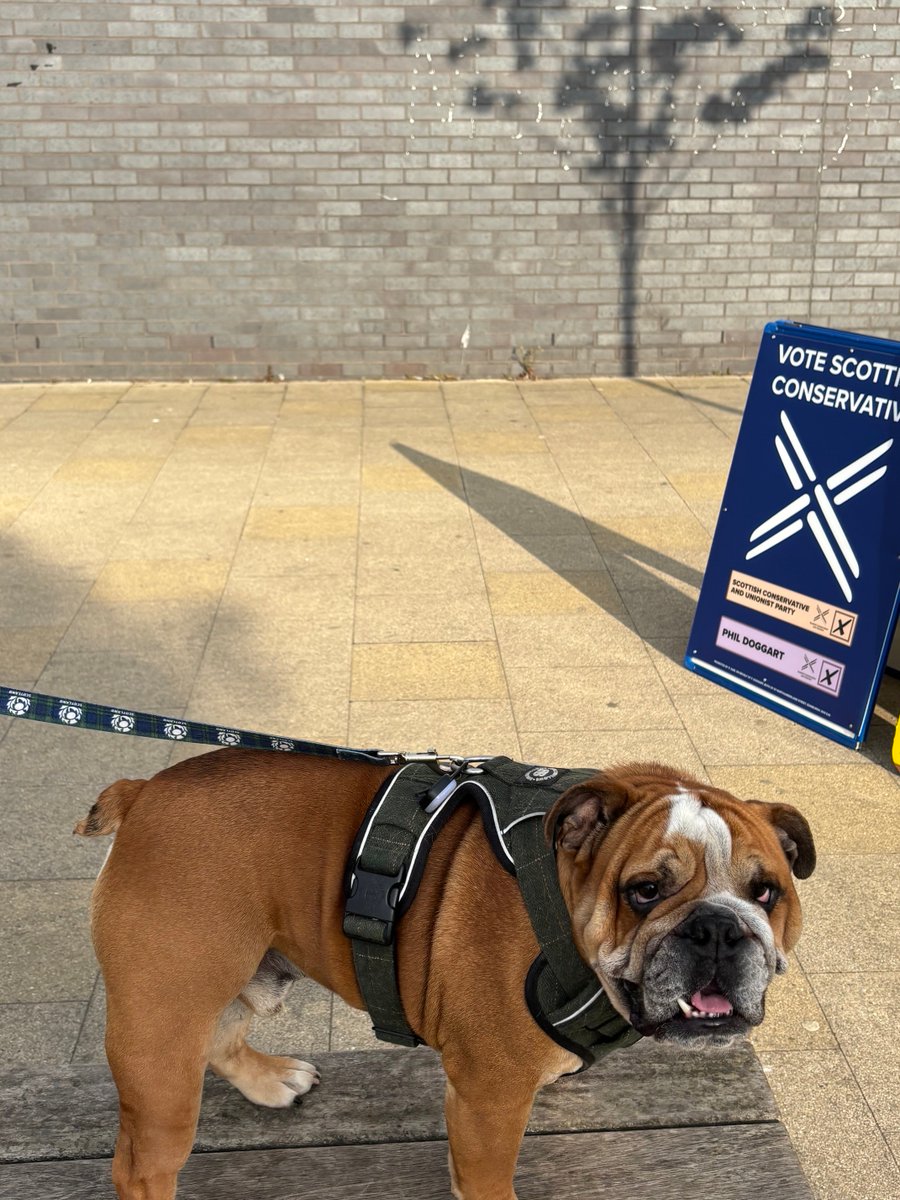 PhilipDoggart's tweet photo. My first entry of #dogsatpollingplaces https://t.co/fwFyCqaZaE