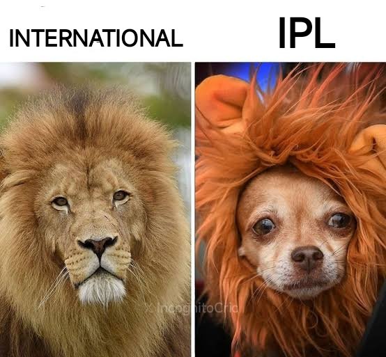 Incognito Cricket tweet media