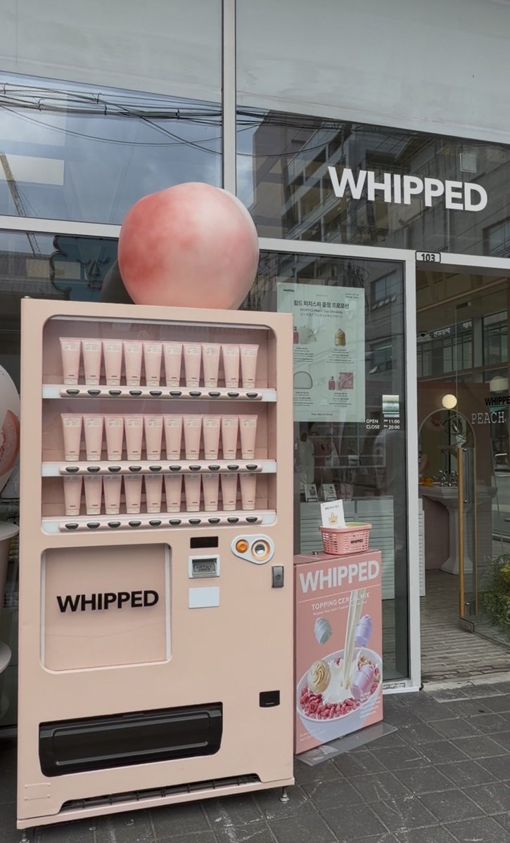 약과🥮ヤッカ tweet media