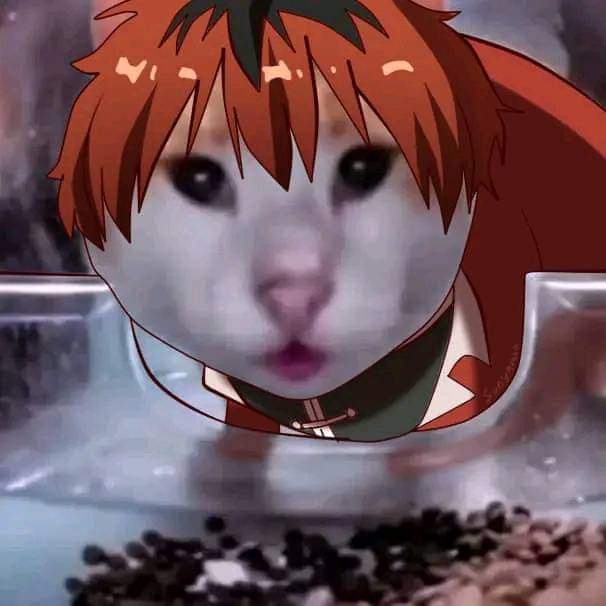 *snf 

Ecchi...                            NANDEE?! 
 
Ecchi...                            iya datakara 
                                         NANDE-datte?!