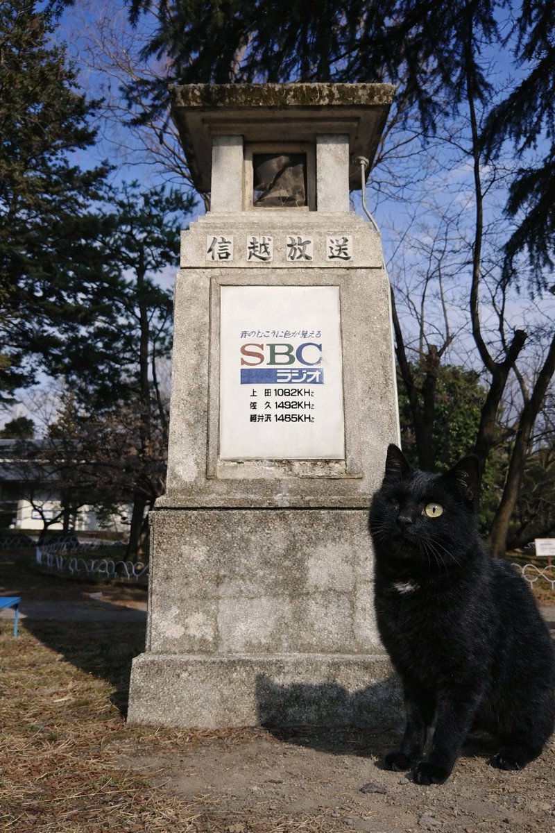 stiiistones's tweet photo. 【黒猫ジャックの石造巡礼・旅猫編】

真田の城として名高い上田城。
その一角にある市民へラジオ放送を伝えるために建てられたラジオ塔📻
昭和初期、ラジオ普及の時代に設置された歴史的遺構だ📡
現在はSBC信越放送の名を残し、静かに時代を伝えている🐾

黒猫のジャックはまるで、古い電波の残響を聞いているようだった🐈‍⬛
#ラジオ塔 #上田城 #昭和 #信越放送 #黒猫 #ジャック #石造巡礼52