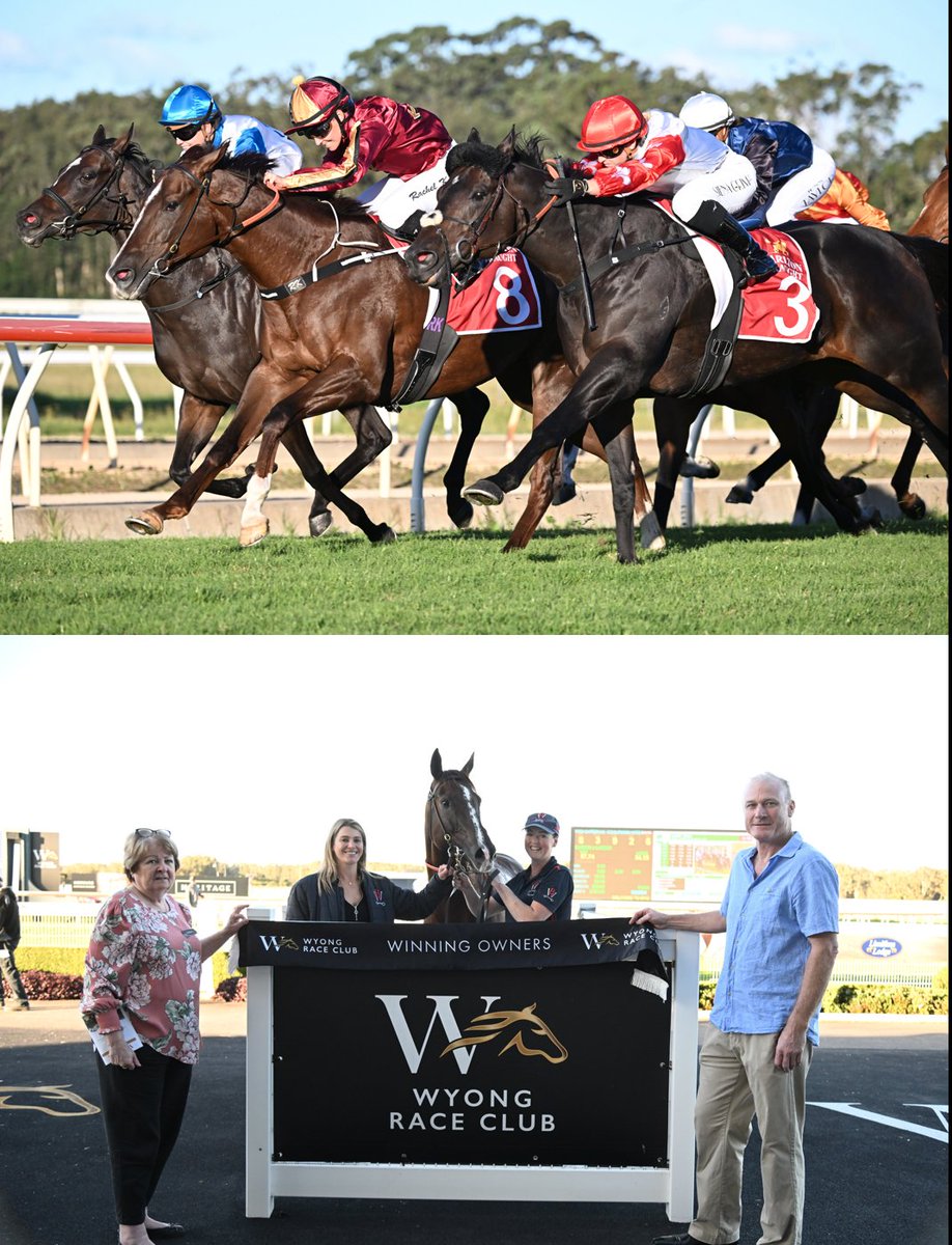 WyongRaceClub's tweet photo. R6 👉MIDWAY BM64 (1000m)
1 - Like A Reason👉@BWiddupRacing/@RachelK11;
2 - Spartus 👉 Fabio Martino/Sienna Grima; 
3 - Cool Blaze👉 @GaryPortelli/@annaeroper 
#wyongraces https://t.co/UtBNl5cKaB
