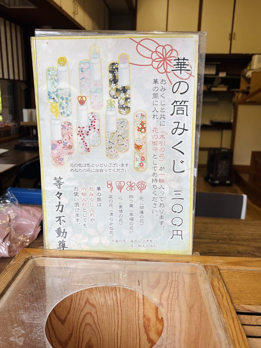 きみどり tweet media