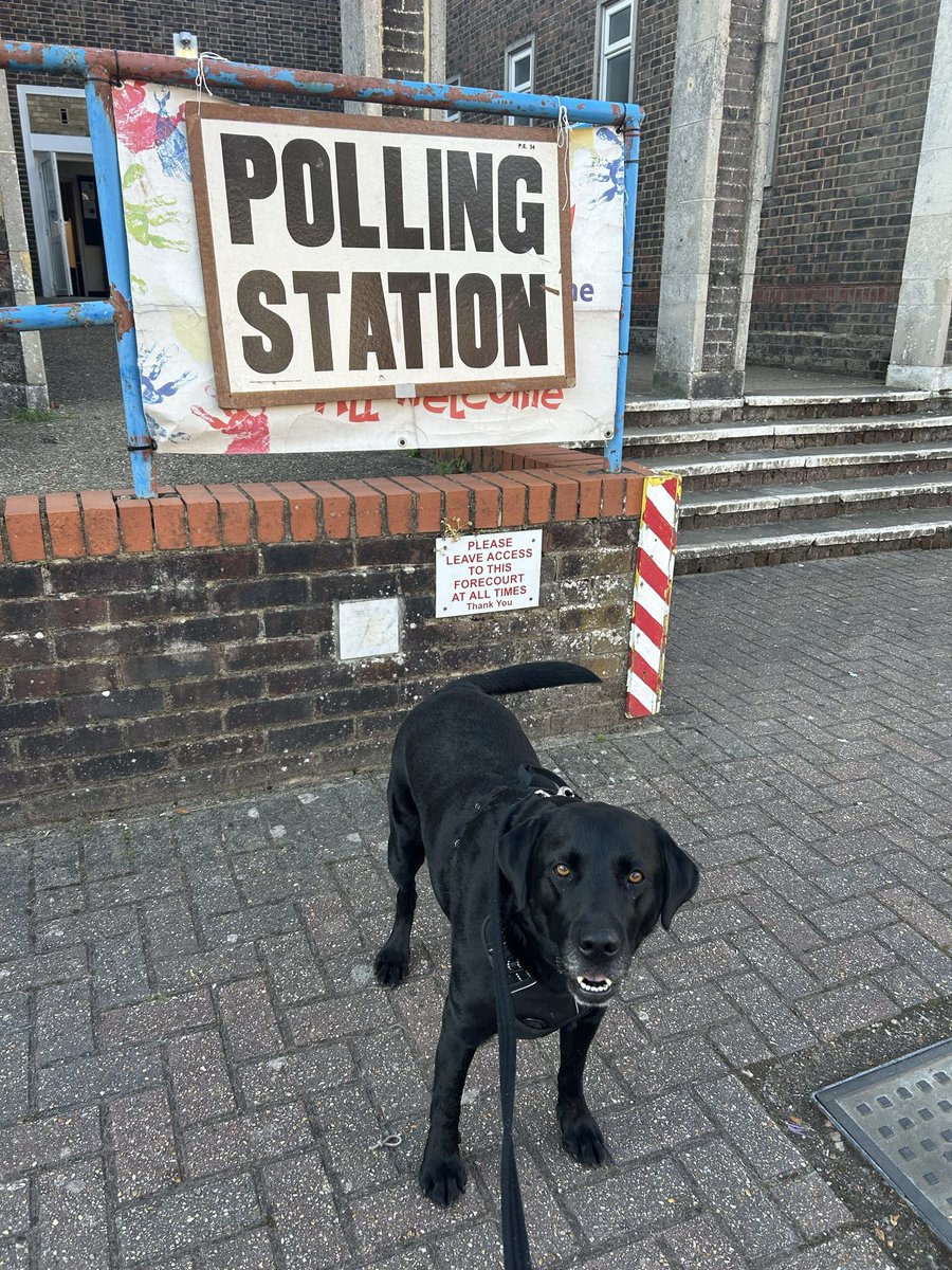 Rpatsandwinnie's tweet photo. #Dogsatpollingstations

Here’s Monty making his vote count - don’t forget your ID 💚 https://t.co/WqPZ1JlWxR