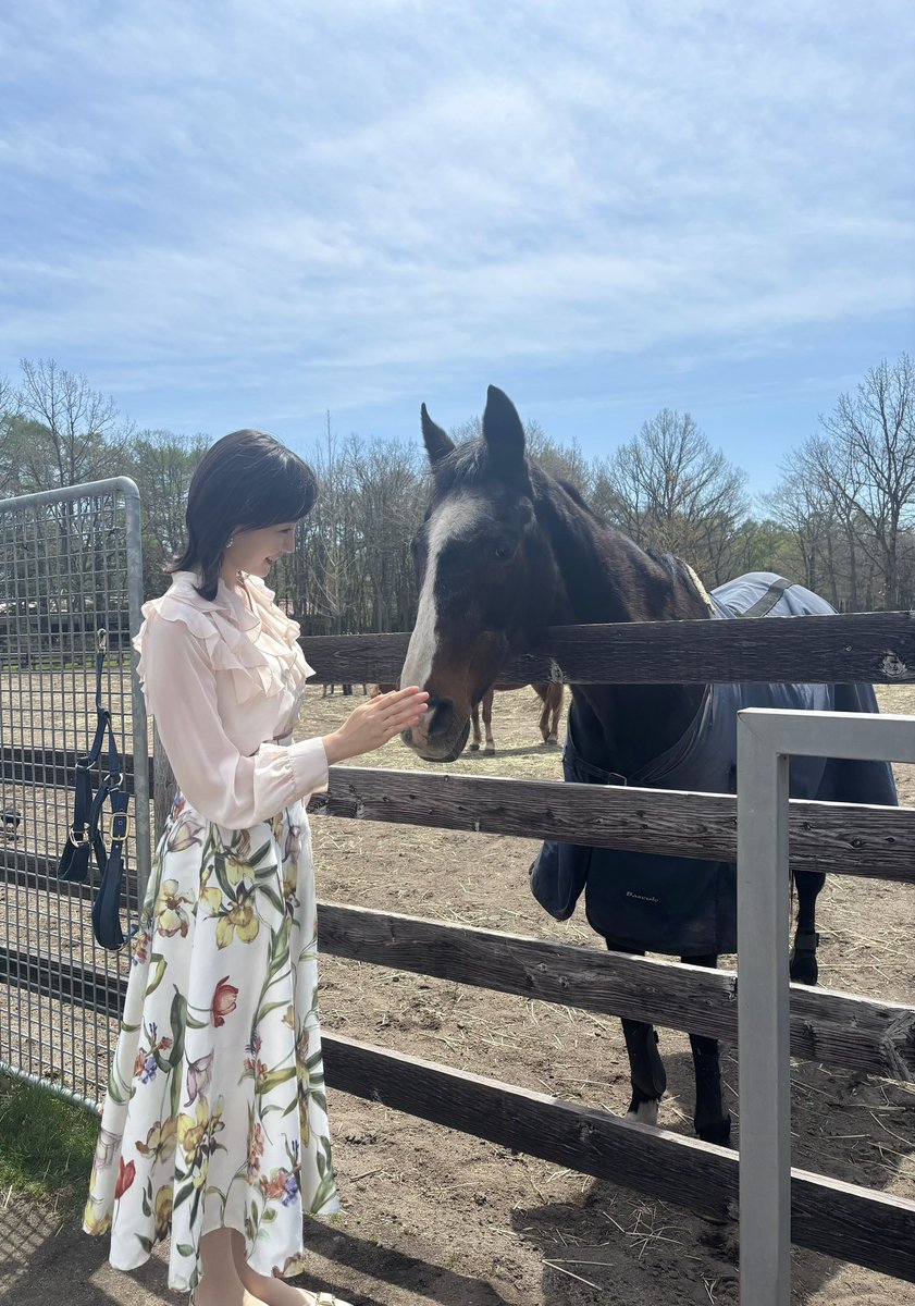 rurika_y's tweet photo. 今週は撮影でノーザンホースパークへ🐎✨
同じ91年生まれの偉大なるマザー🤱
ウインドインハーヘア母さん🐴

��づくと、静かにコチラにきて
顔を近づけてくれました😆
嬉しすぎるひとときにキュン😍💭

いつまでも、いつまでも元気でいて下さい🐴🍀

#ウインドインハーヘア https://t.co/v7lPUJCcSI