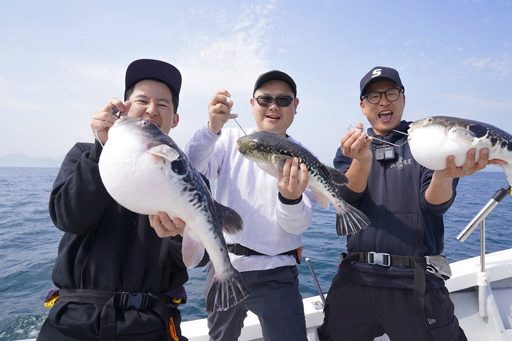 fishingwatanabe's tweet photo. 🎣釣果情報！

トラフグ祭り
⬇️詳細はこちら⬇️
https://t.co/1mfBeqWntH

#釣り #START #フグ https://t.co/Sb239nsYzF