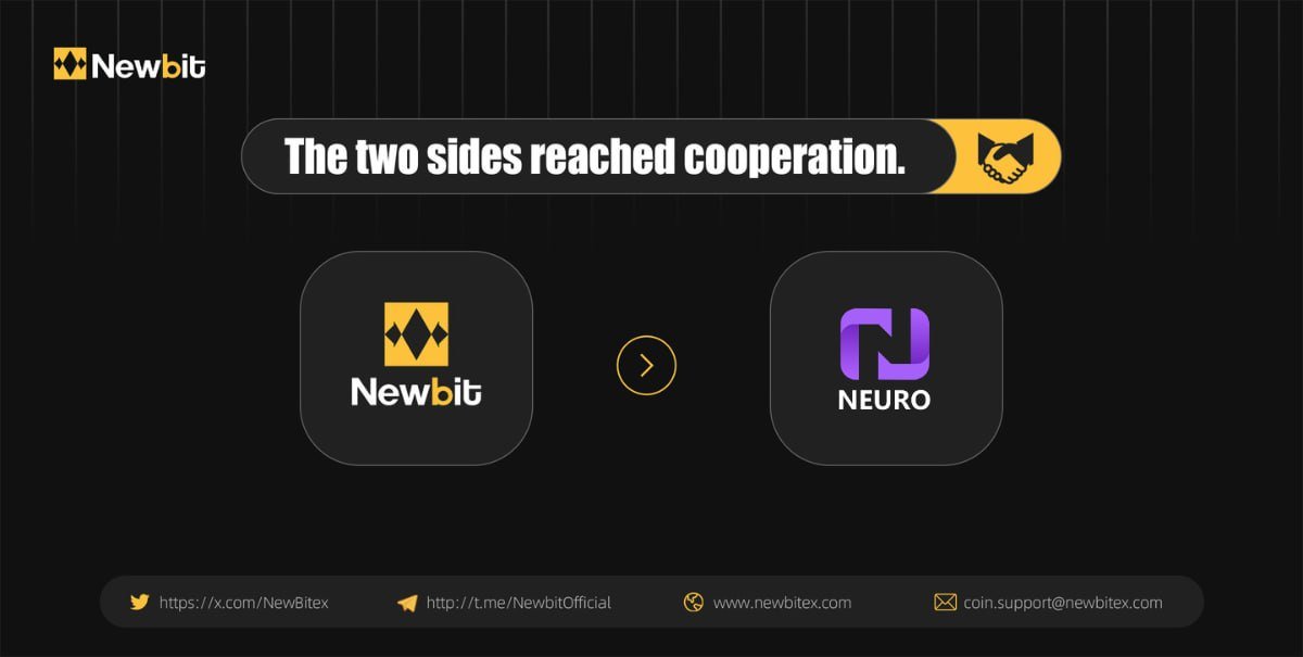 NEWBIT中文 tweet media
