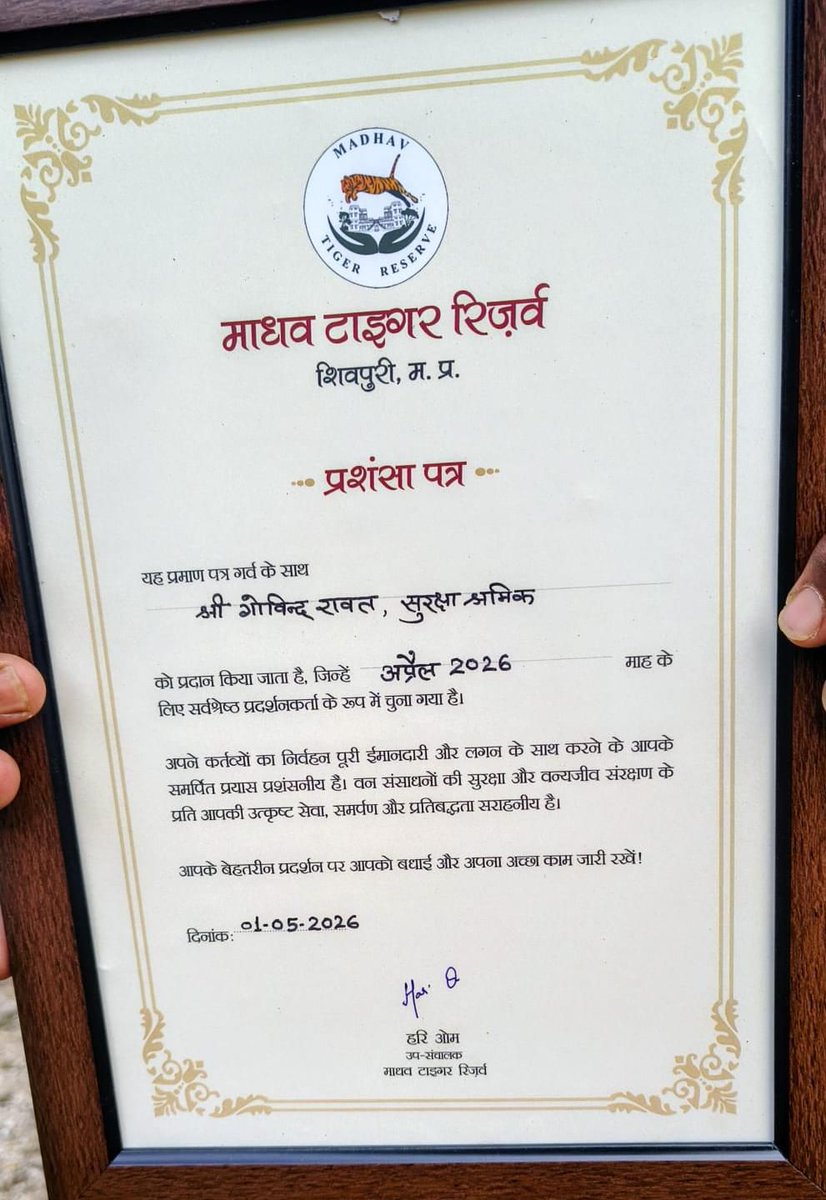 Madhav Tiger Reserve tweet media