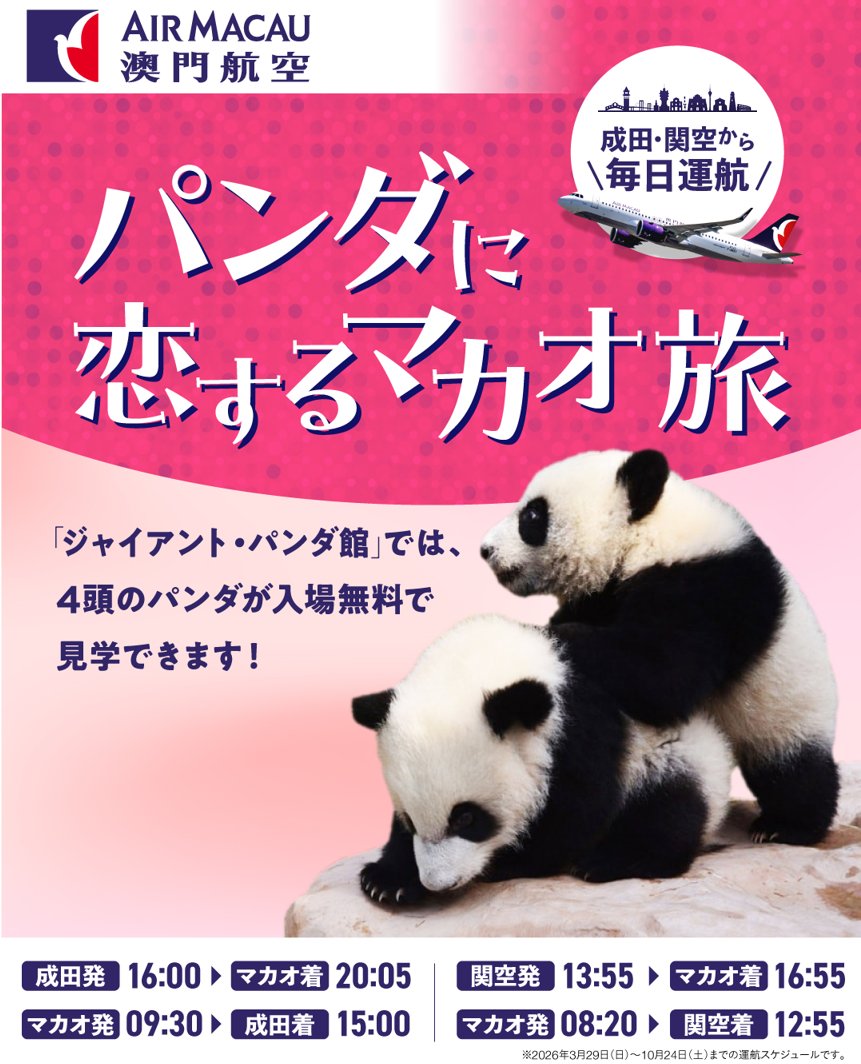 マカオ航空JP tweet media