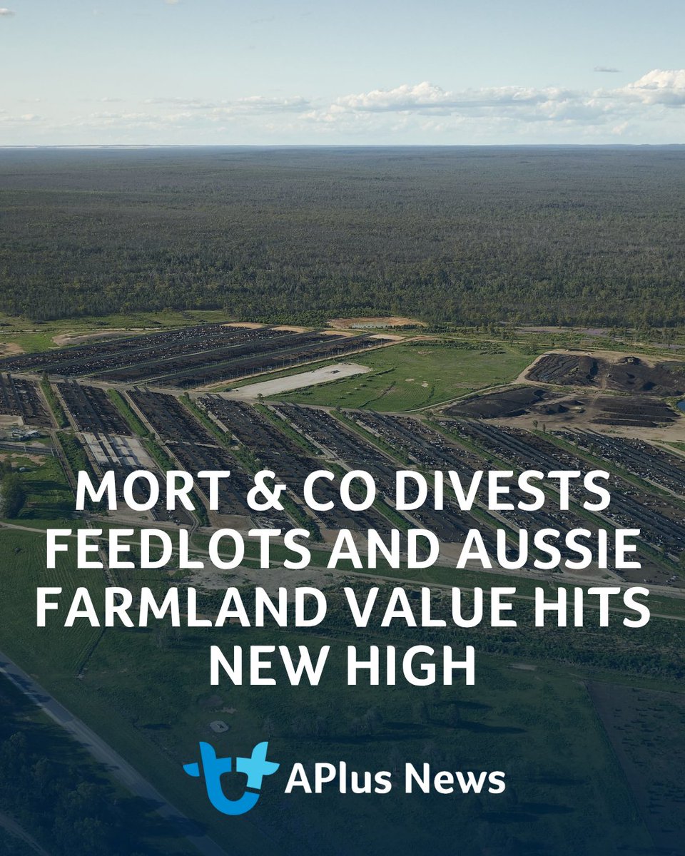 AuctionsPlus tweet media