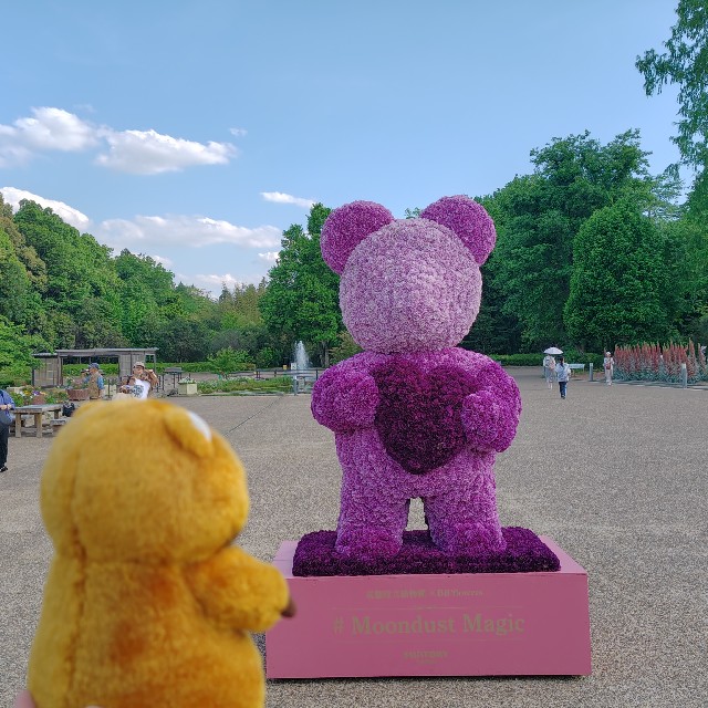 rascal11110219's tweet photo. 今日もお友達見っけ。記念写真撮ってもらったミャ！
#京都府立植物園 https://t.co/u3iUysEpc1