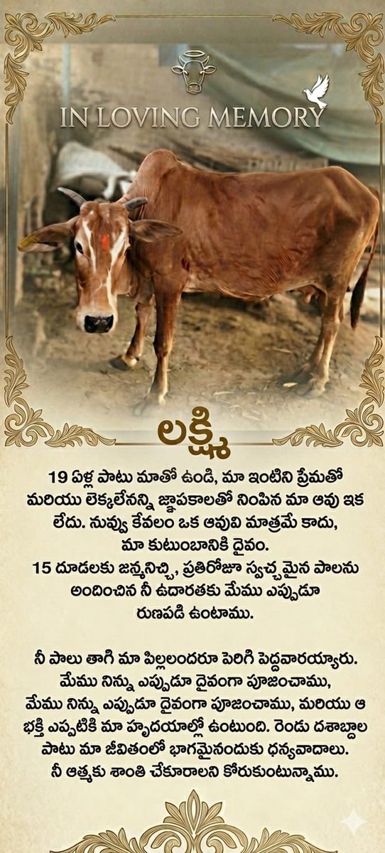 venkatrameshwar's tweet photo. మా వాట్సాప్ బృందంలో స్నేహితుని పోస్ట్.
🙏 https://t.co/hspfVYxr2o