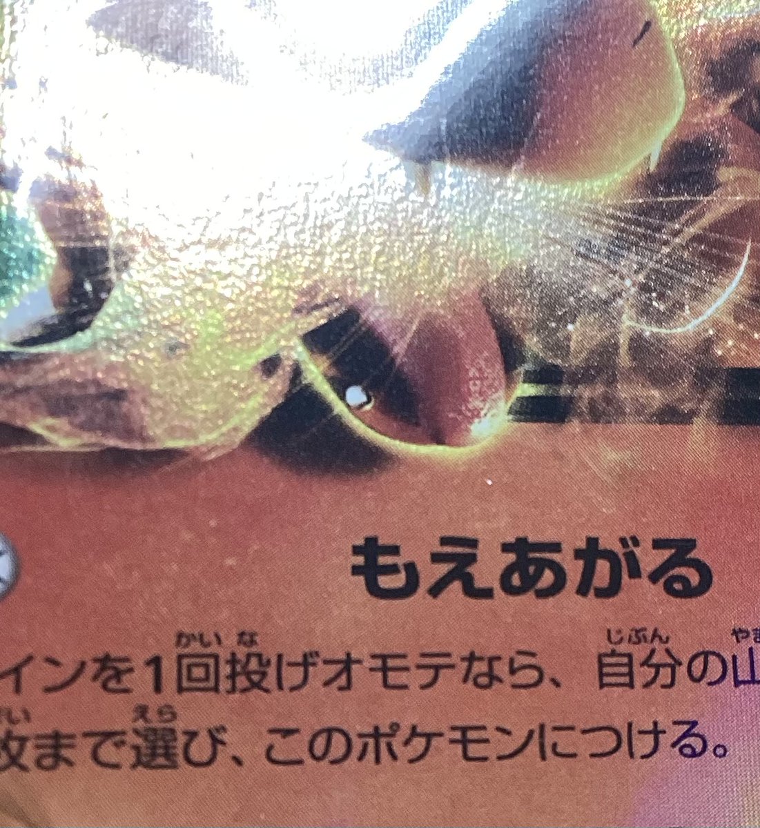 ポケカ 🔥リザードンEX(213/XY-P) キズ有りのため、超特価価格で販売中