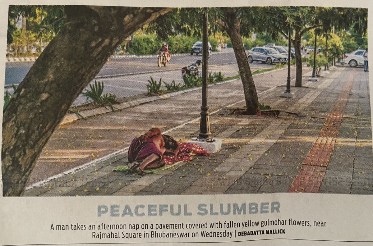 manas_muduli's tweet photo. No AC can give this comfort. 

A man taking afternoon nap under trees at Rajmahal Square, Bhubaneswar.

Fallen yellow gulmohar flowers all around :) https://t.co/IwP1xvMMdr