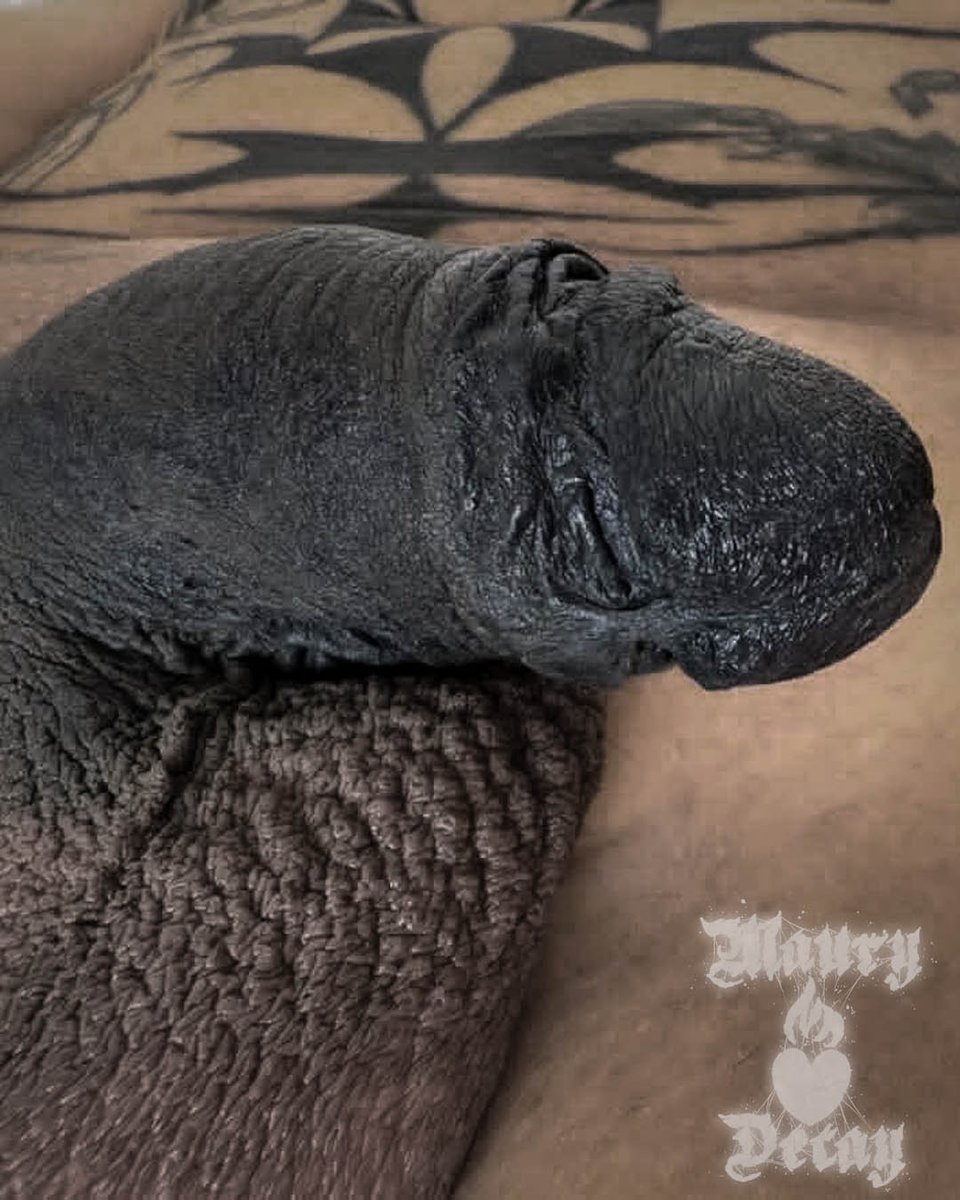 Maury Decay (THE dick tattoo specialist) 🇬🇧 tweet media
