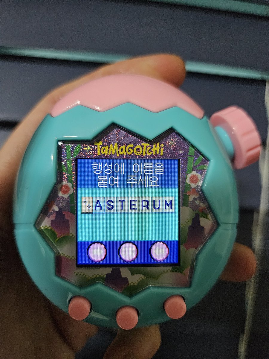 대한아스테룸플리დ (대플) tweet media