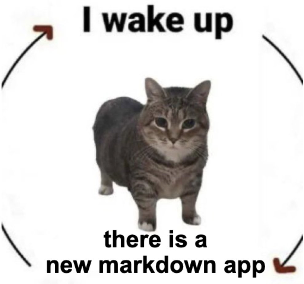 LRazovic's tweet photo. current status of my timeline

*there is a new markdown app (for macOS only usually) https://t.co/W9bnmlUlZB