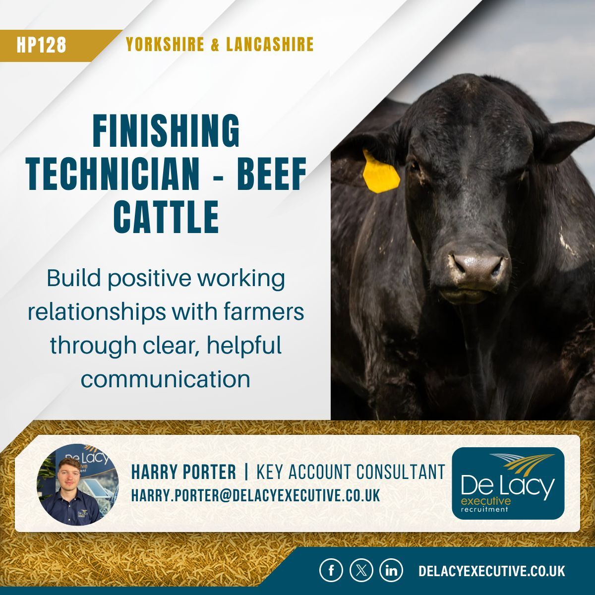 De Lacy Executive tweet media