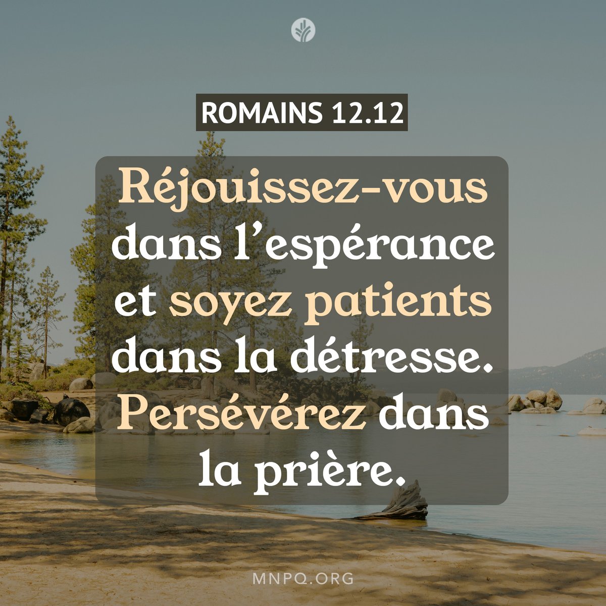 Notre Pain Quotidien tweet media
