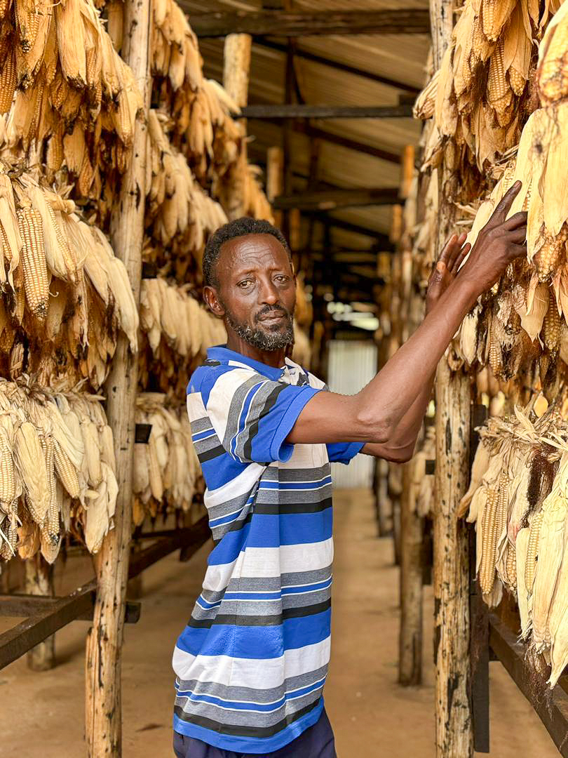 RefugeesRwanda's tweet photo. A season of effort and hope🌽.

Ananias, a Congolese refugee farmer living in Kiziba camp, grows maize near the camp to feed his family, with support from WFP.

🙏Grateful to 🇷🇼Government for enabling refugees to access land – building resilience &amp; self-reliance. https://t.co/PaUCncc7jF