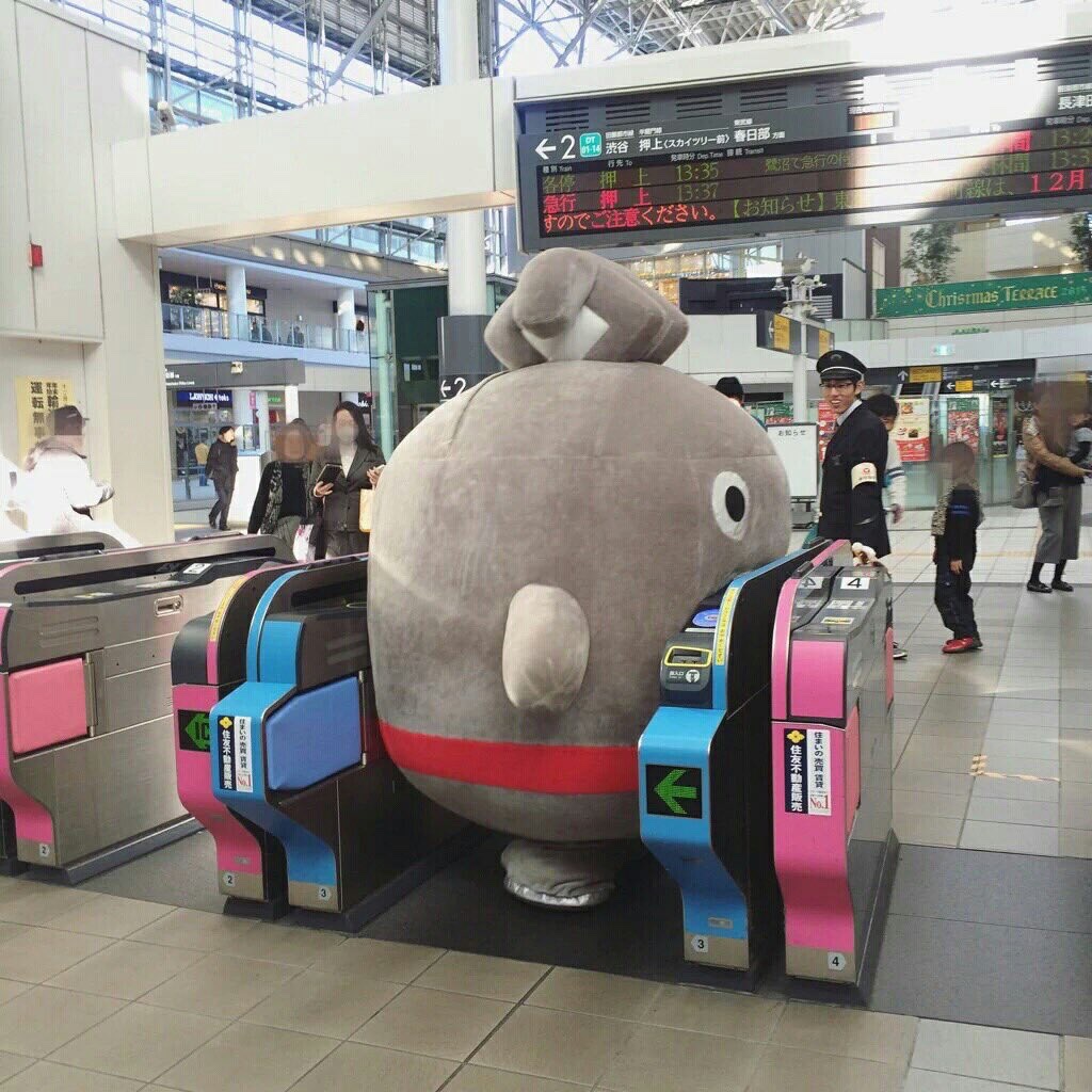 精霊 tweet media