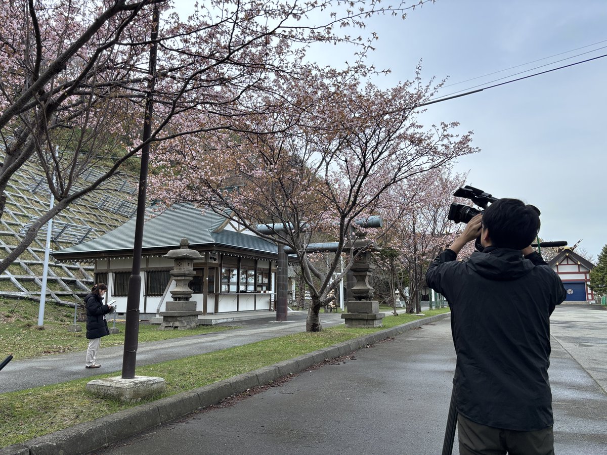 BE2051's tweet photo. 今日はNHK中継補助で稚内に来ています。
稚内北門神社から見頃の桜をお届けします！
ほっとニュース道北・オホーツク「旬きた中継」
18:45からです！ https://t.co/sNFGXUN3TG