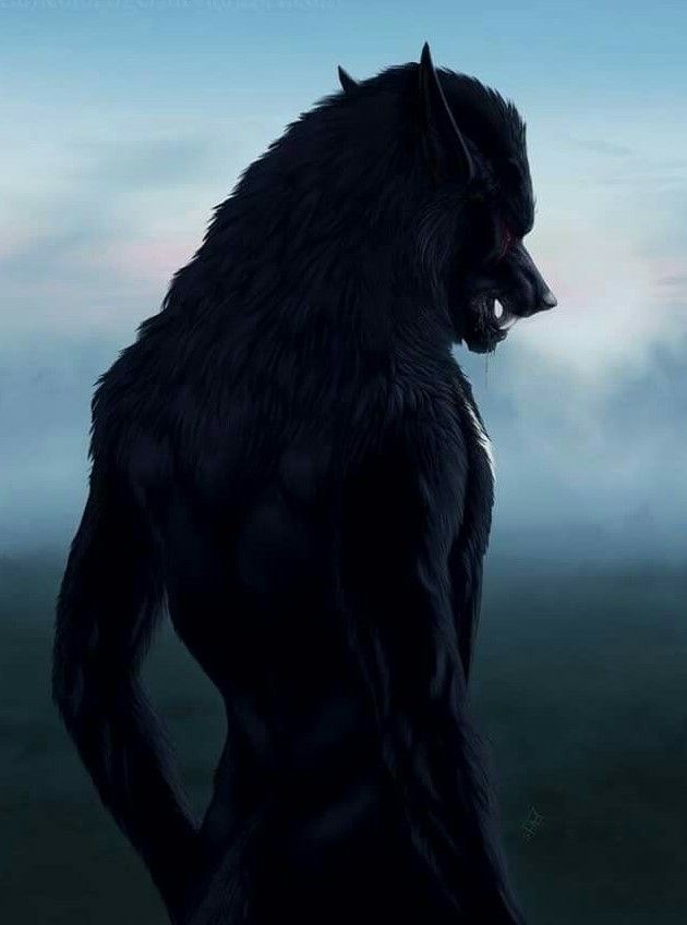 masterdarknee's tweet photo. 𝑇𝒉𝑒 𝐷𝑎𝑚𝑛𝑒𝑑 𓃥 https://t.co/Vyuca5uJbZ