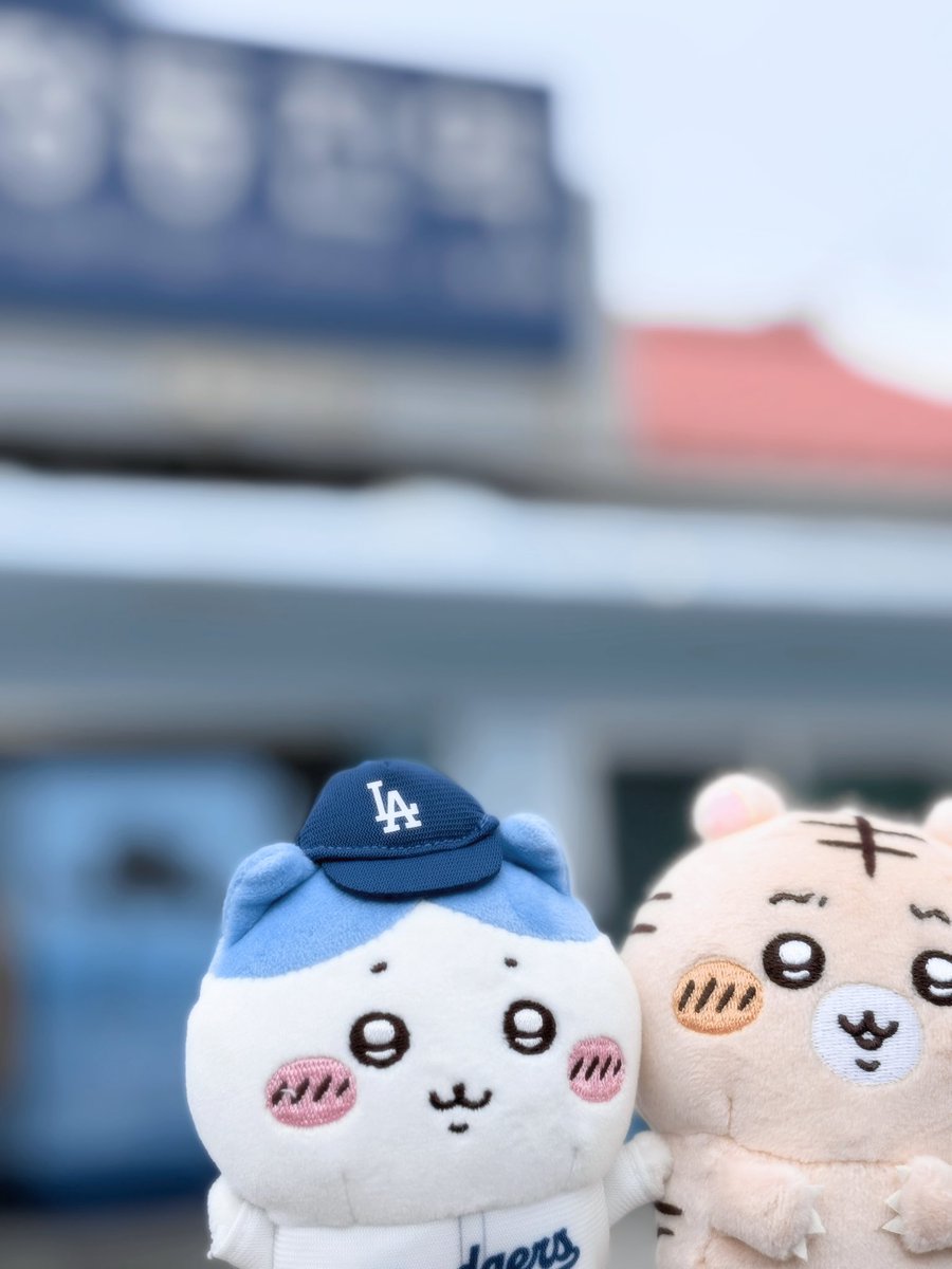 사랑 tweet media