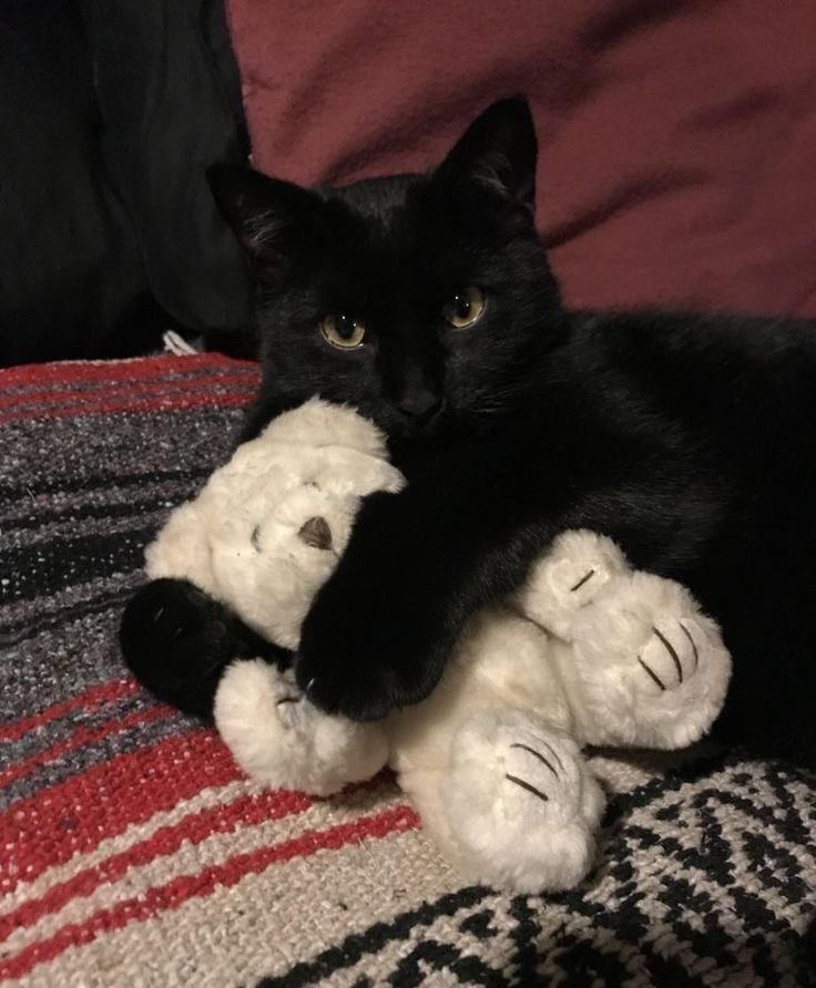 🖤
