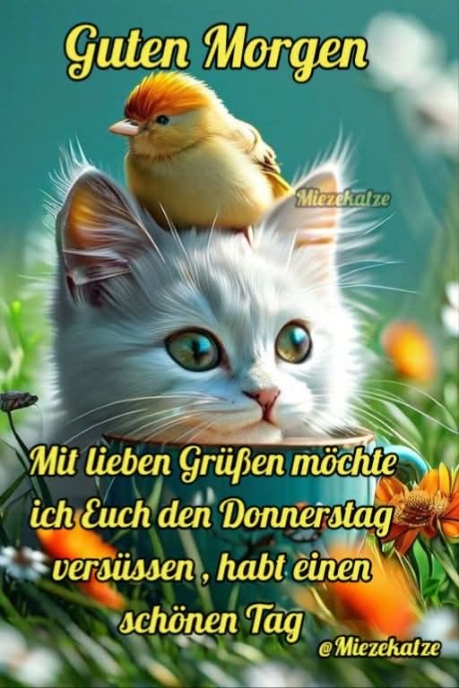 Guten Morgen meine Herzmenschen wünsche euch auch einen Wunderschönen Donnerstag. Mit vielen schönen Momenten. 🌺🌸🍀🎶☕️🥰