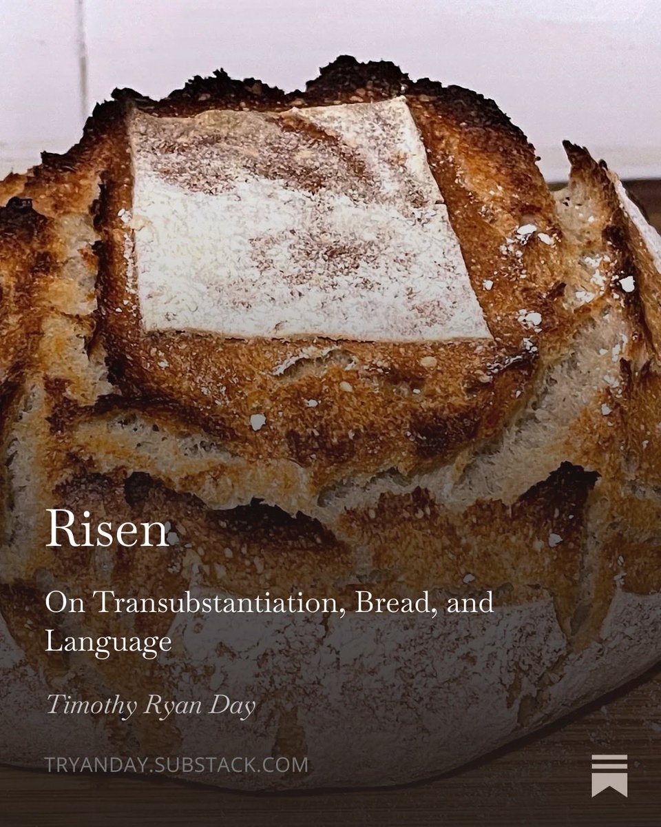 tryanday's tweet photo. https://t.co/E9EkXs5sIe

New post about fermentation, transubstantiation, AI, and… Santa? https://t.co/PIj5QkXugJ