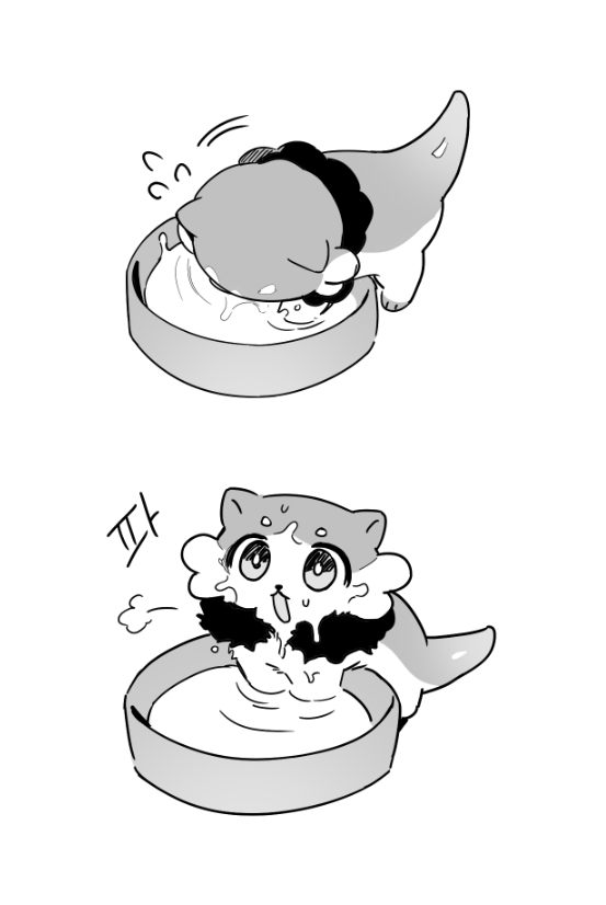 BM88501's tweet photo. 🍯🥛 https://t.co/6sYMJ9OHd3